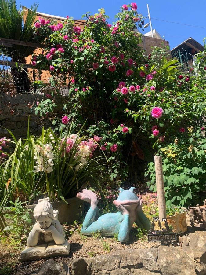 The Sea Flower Appartamento Con Giardino E Garage Auto Incluso 산레모 외부 사진